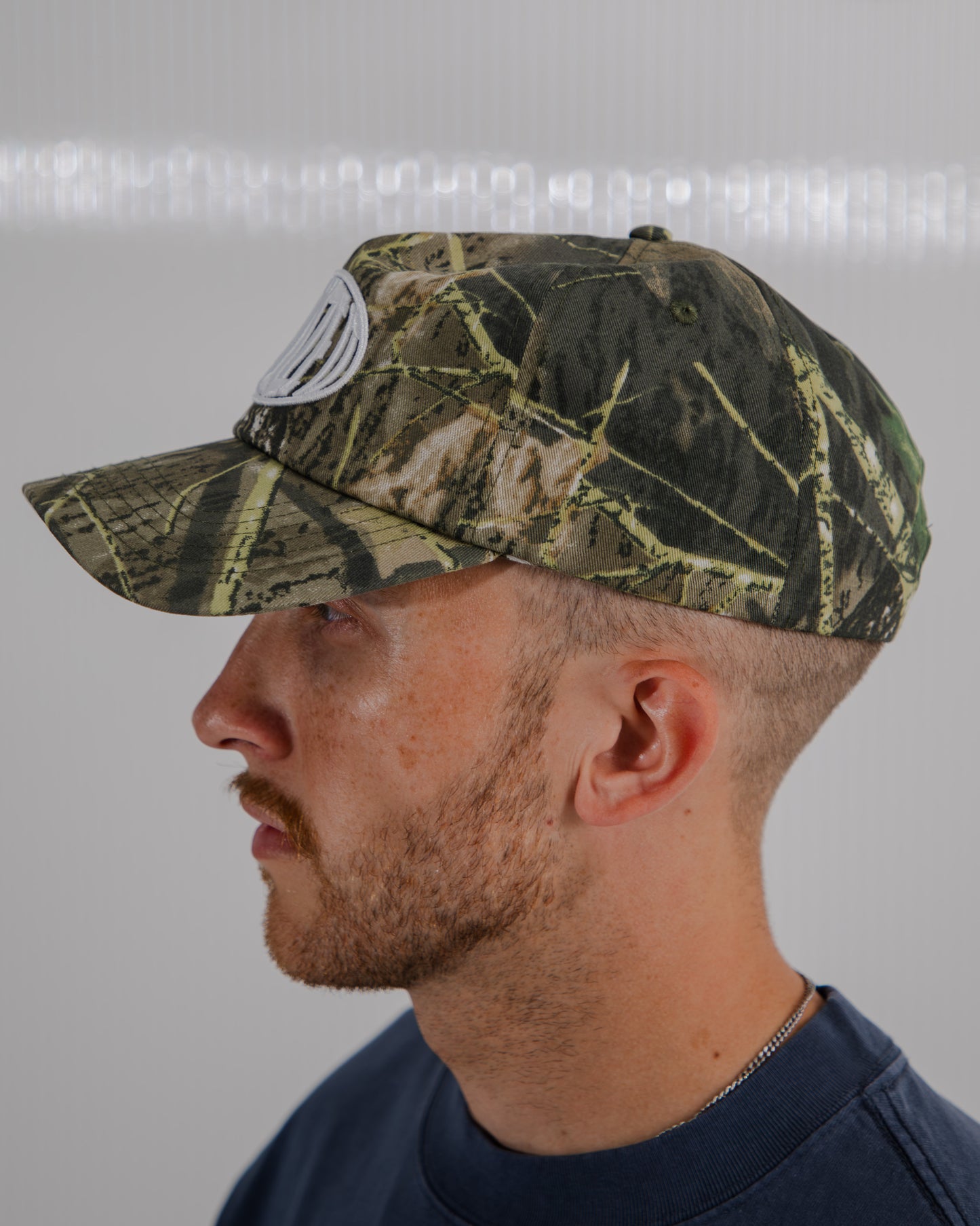 Visualize It Snapback