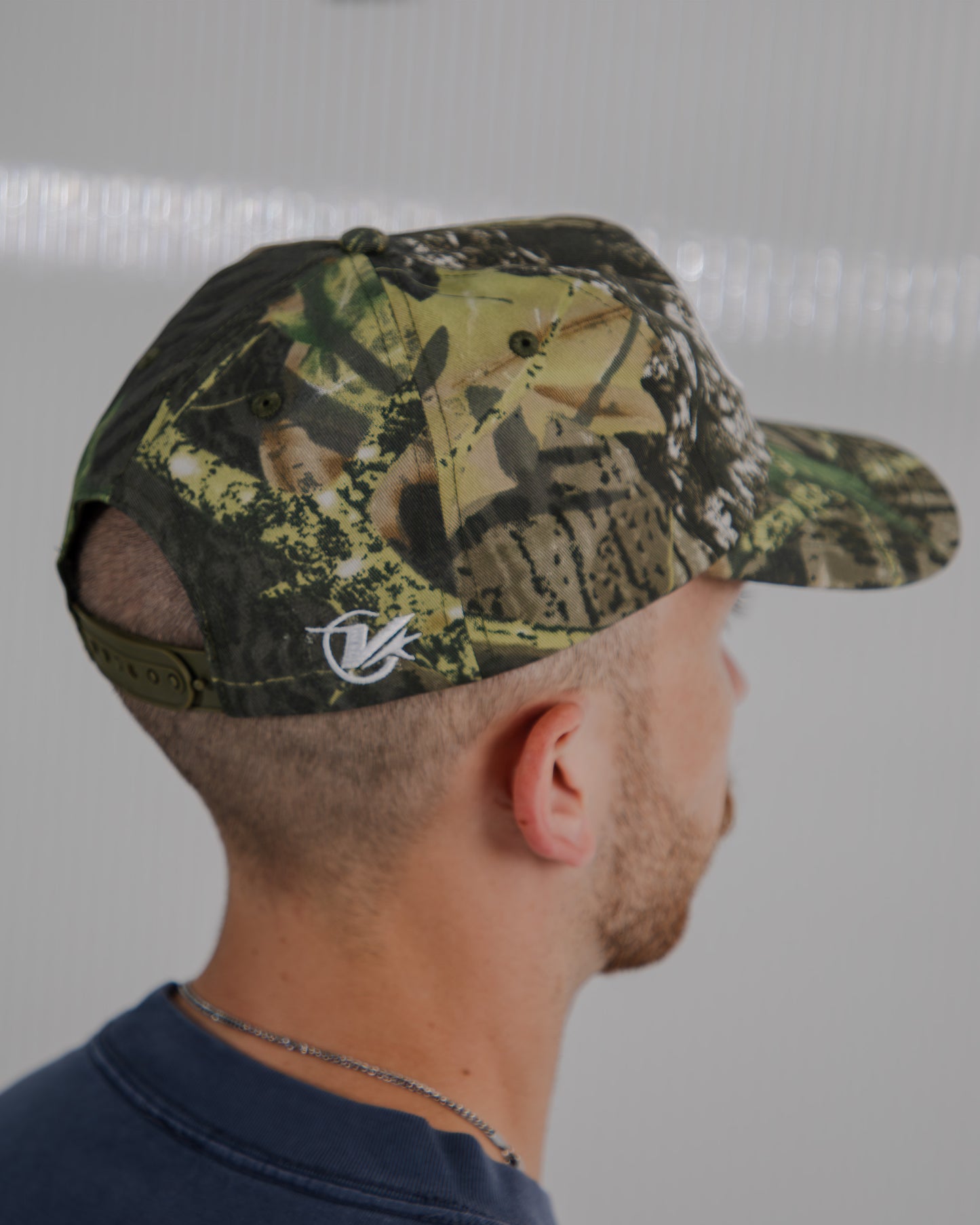 Visualize It Snapback