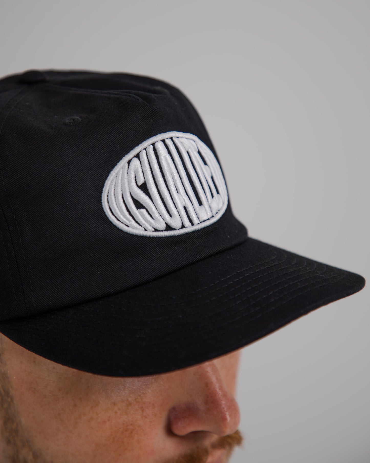 Visualize It Snapback